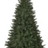 Sapin De Noël Toronto