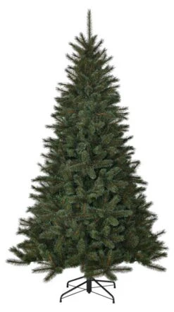 Sapin De Noël Toronto