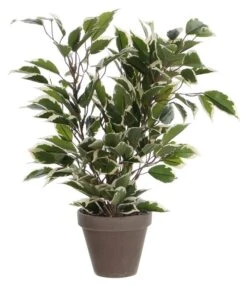 Plante Artificielle Ficus Natasja