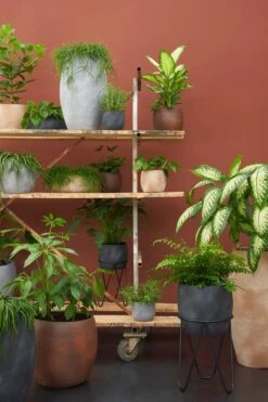 Porte-plante 7 Porte-plante -Noël Décorer Magasin faf3bfd79d9245fdbaa7754d71e04d67