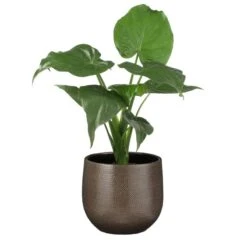 Pot De Fleurs Gabriel -Noël Décorer Magasin fbe74038d30743ce9cca0b576dd1a679